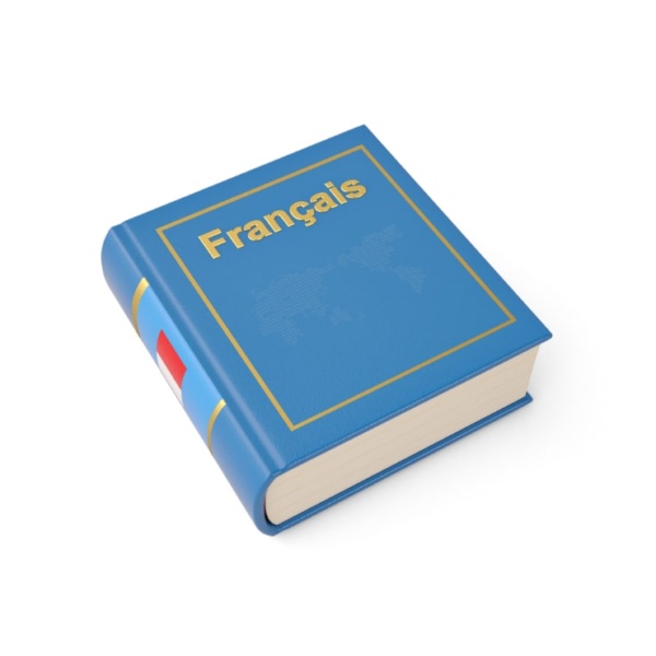 French Advanced Course